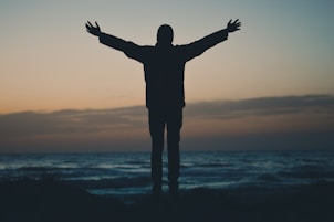 silhouette of person facing beach