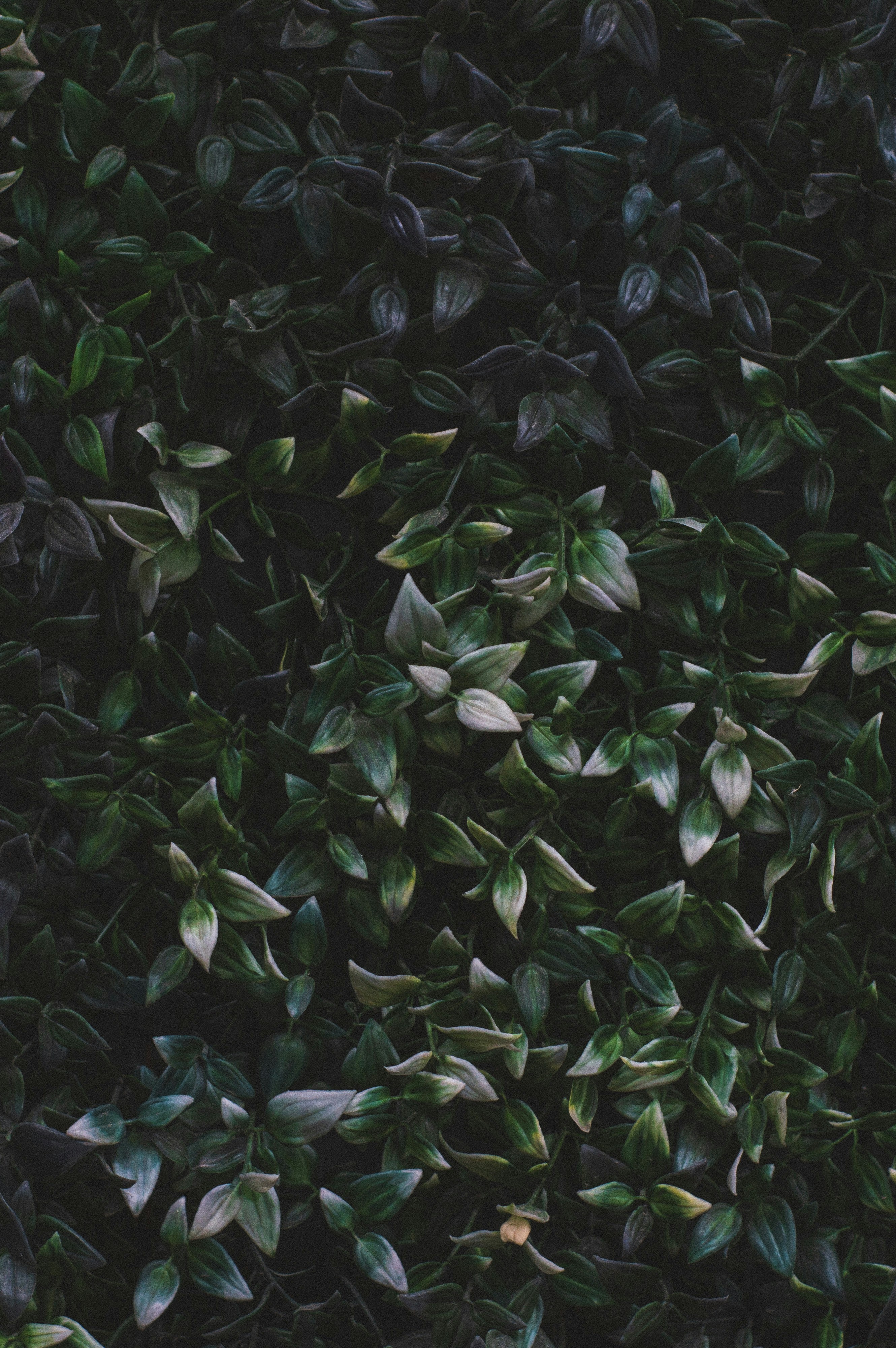 Photo by thombradley