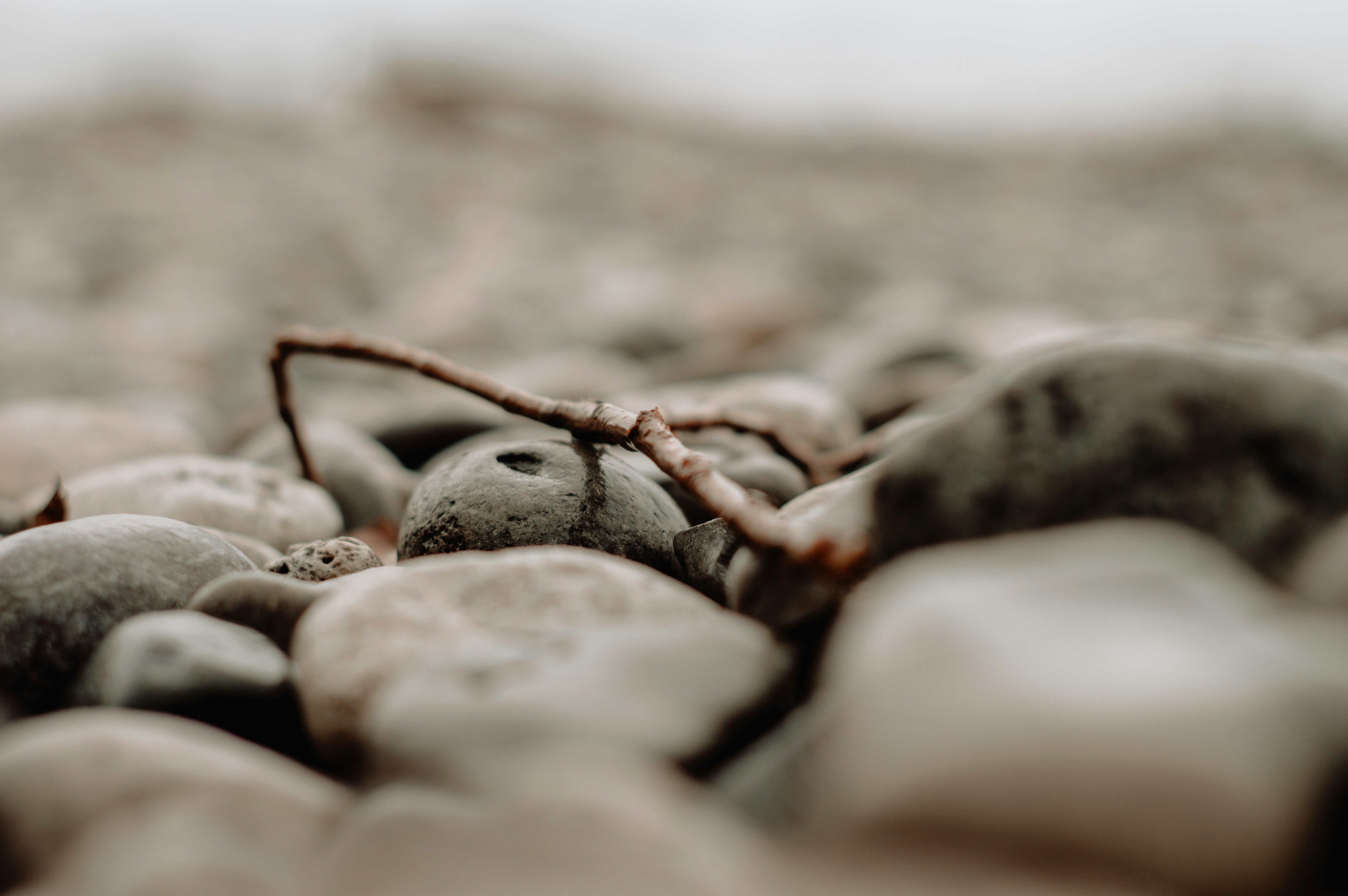 Photo by thombradley