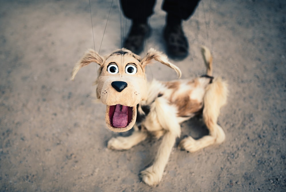 juguete para perros