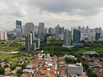 high angle view photography of houses