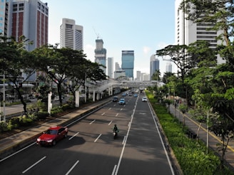 cars on road