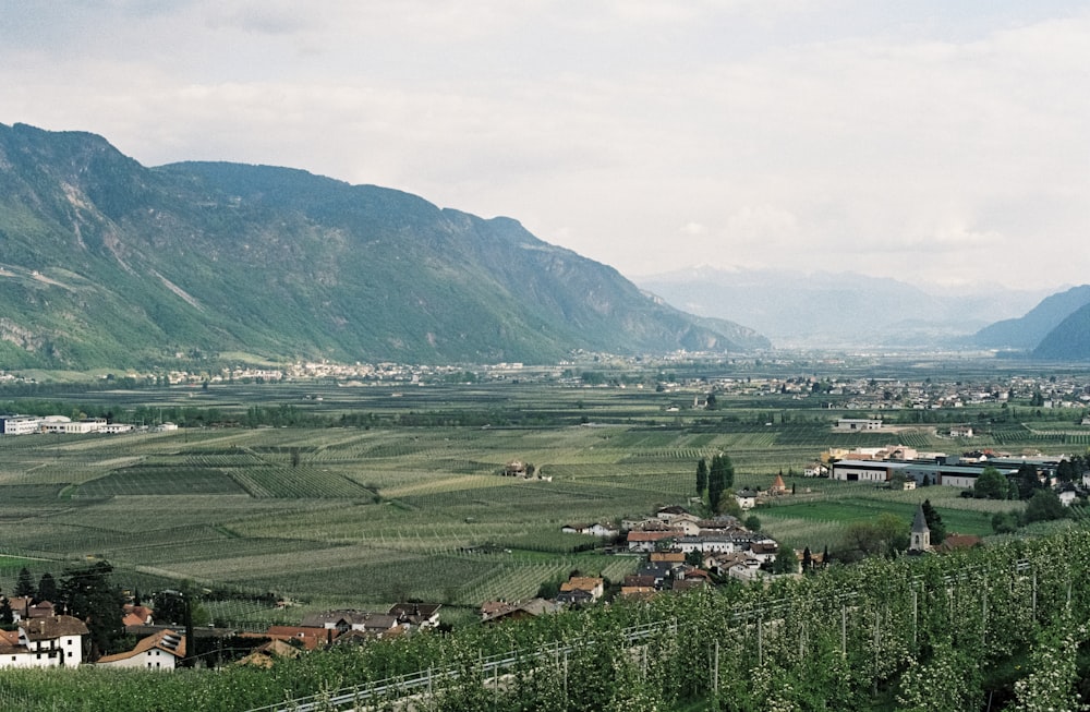 landscape photo of green mountains