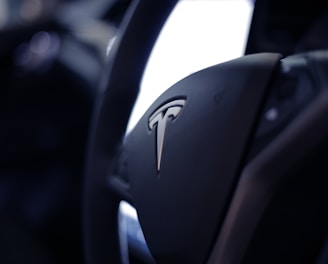 black Tesla airbag