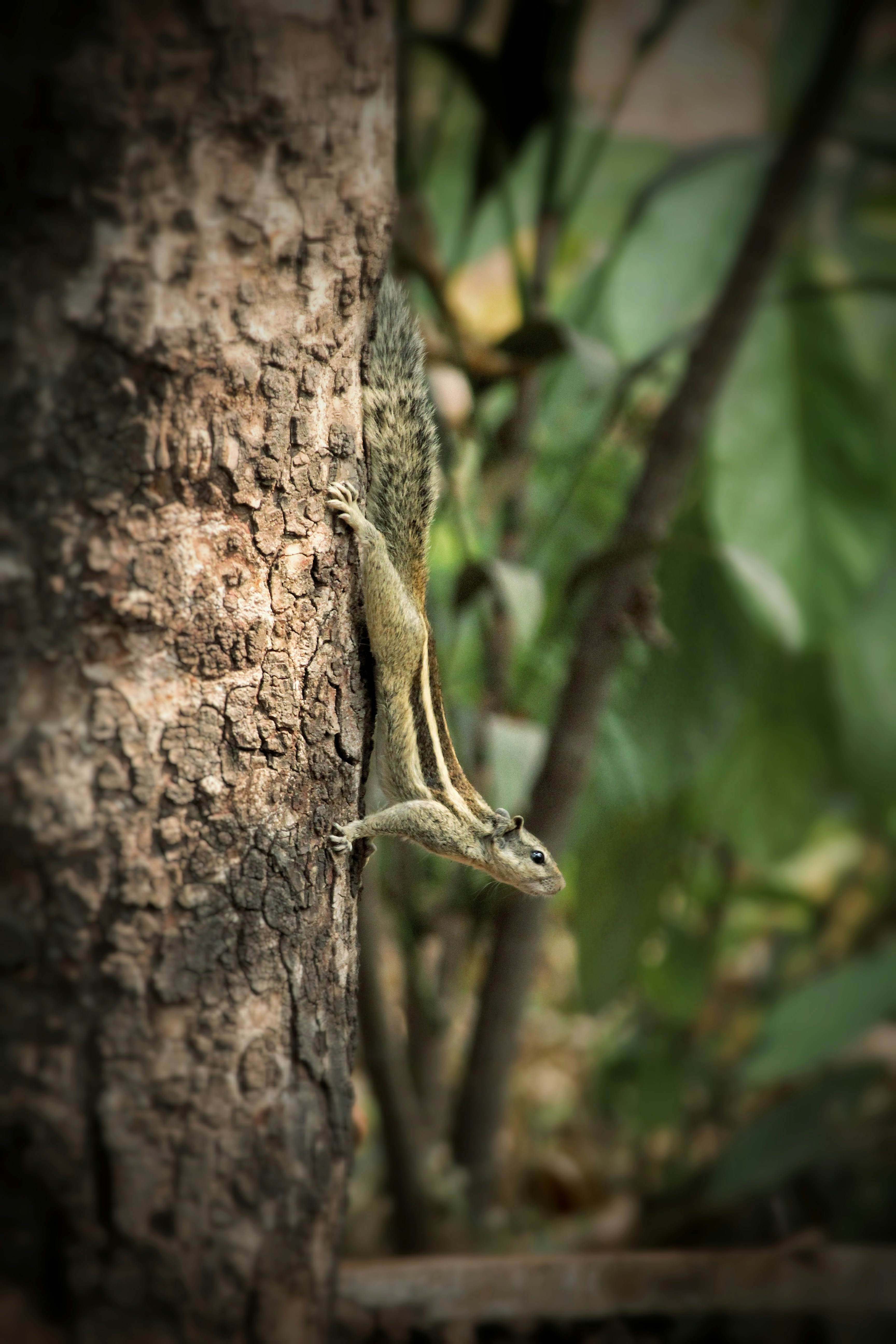 Photo by cam_snapperr