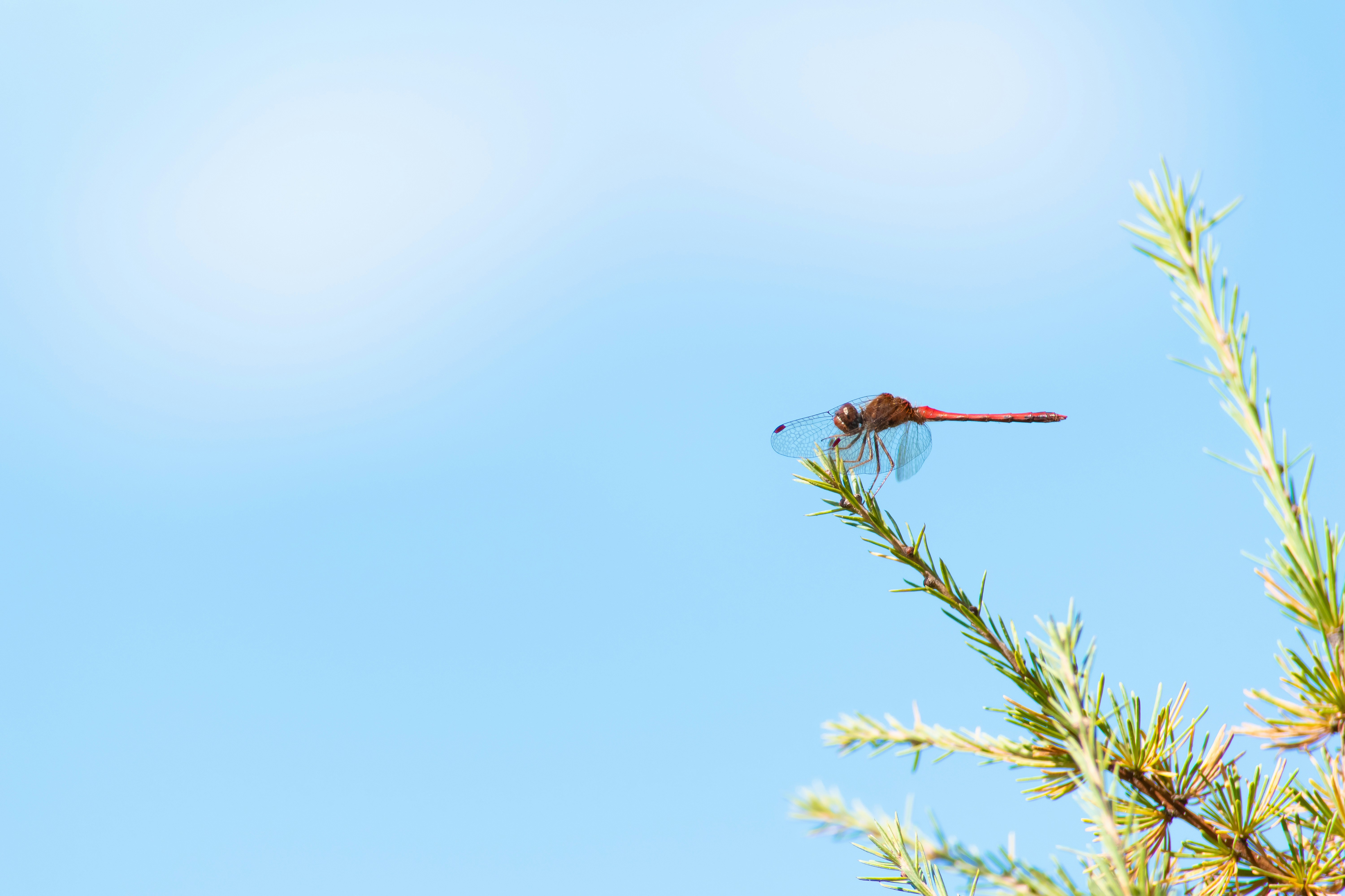 Photo by robinmathlener