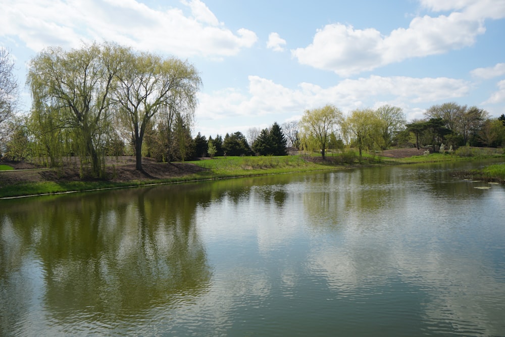 empty lake during daytime