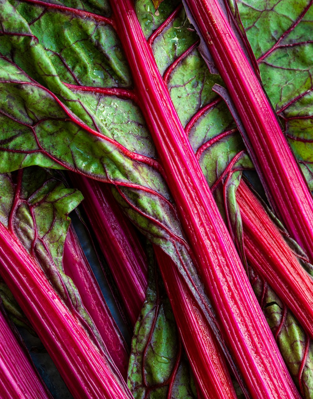 a close up of a bunch of red and green vegetables