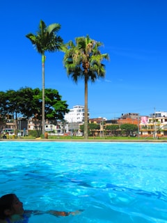 A swimming pool with clear blue water occupies the foreground. In the background, there are two tall palm trees set against a bright blue sky. A few buildings are visible beyond a fence with some greenery.