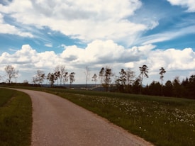 A winding country road leads through a grassy landscape with wildflowers. Tall trees line the horizon under a sky filled with large, fluffy clouds.
