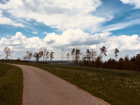 A winding country road leads through a grassy landscape with wildflowers. Tall trees line the horizon under a sky filled with large, fluffy clouds.