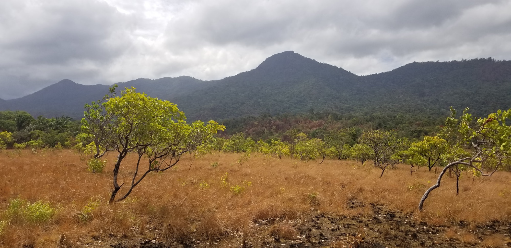 Exploring Guyana: A Complete Travel Guide to Discovering the Hidden Gem