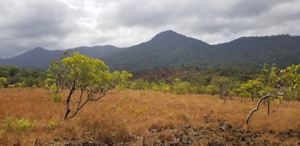 Exploring Guyana: A Complete Travel Guide to Discovering the Hidden Gem