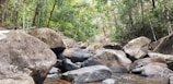 A natural landscape featuring large boulders scattered across a stream surrounded by lush green forest. The scene is tranquil with flowing water and various sizes of rocks partially submerged. Tree trunks and dense foliage indicate a thriving ecosystem.
