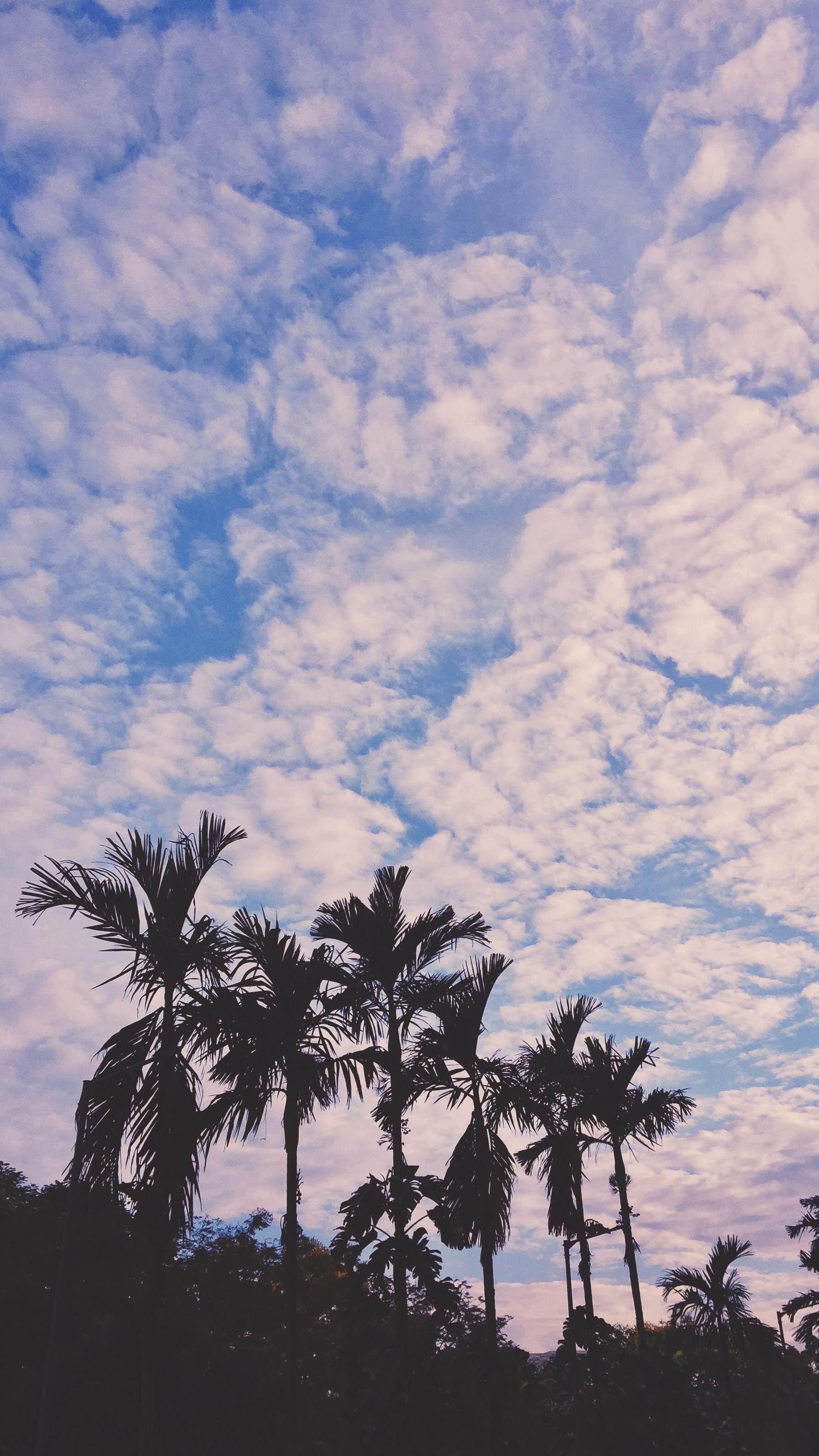 Photo by naveenleenus