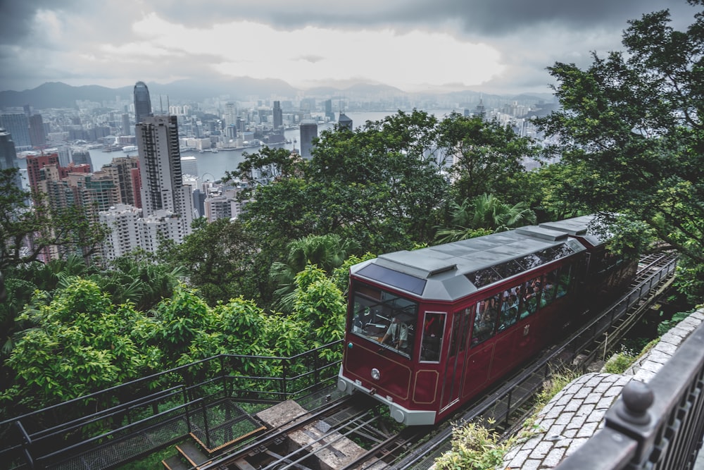 red and grey train near trees