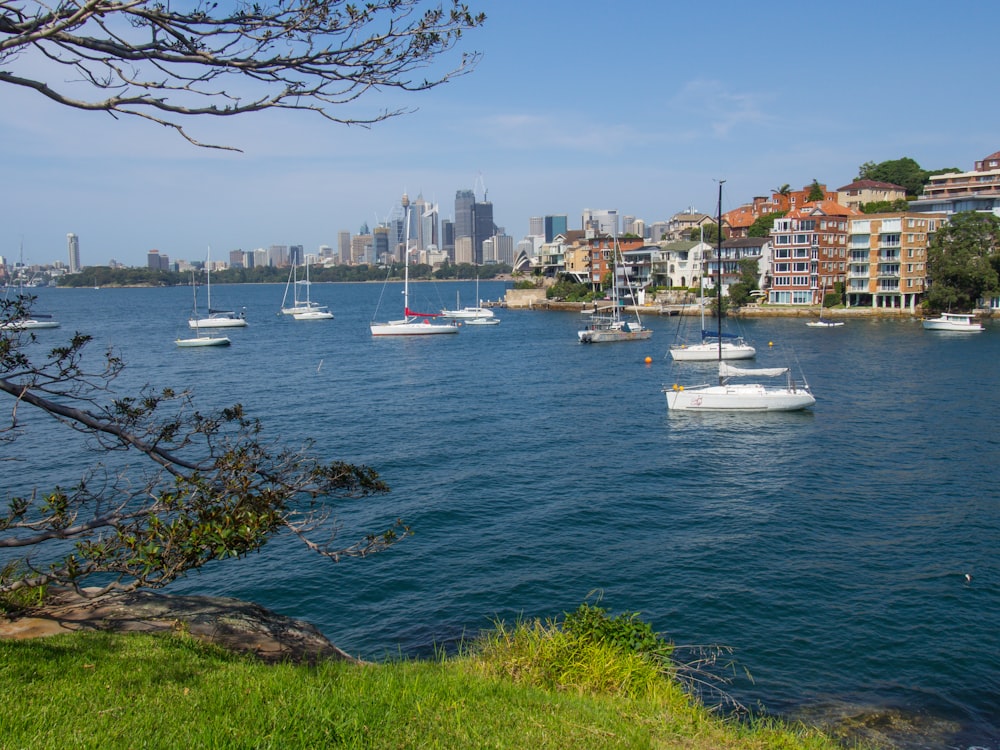 ships on body of water during daytime