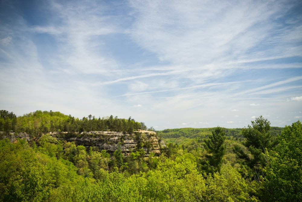 landscape photo of mountains and trees under cloudy sky during daytime