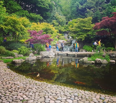 Kyoto Garden - From Holland Park, United Kingdom