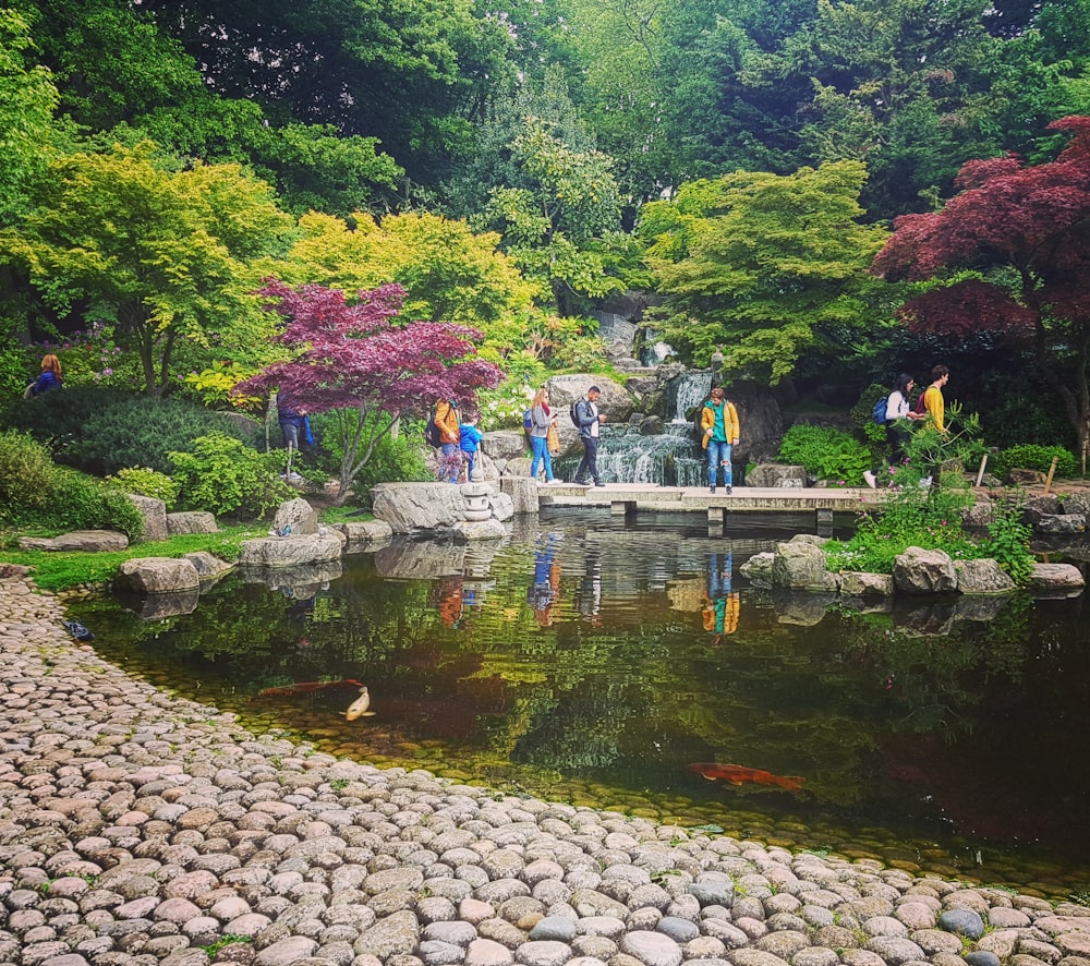 landscape photo of green and purple plants