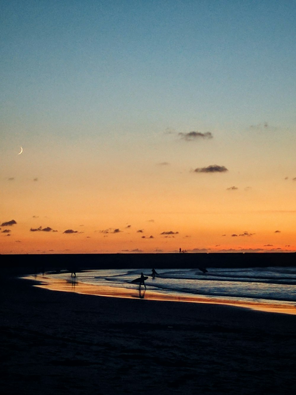 people surfing on beach during golden hour