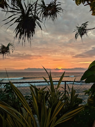 shore and body of water during golden hour