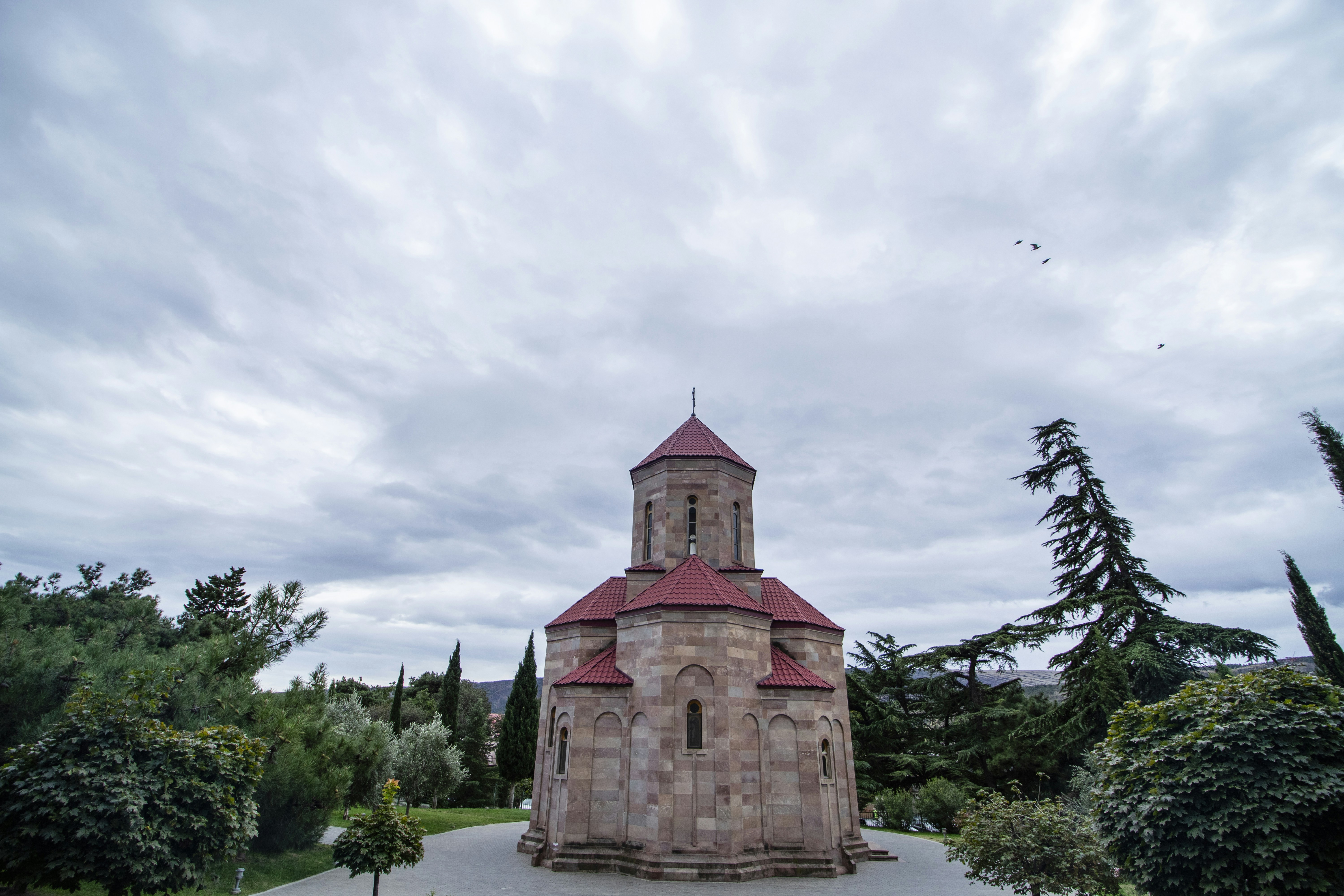 Photo by mostafa_meraji