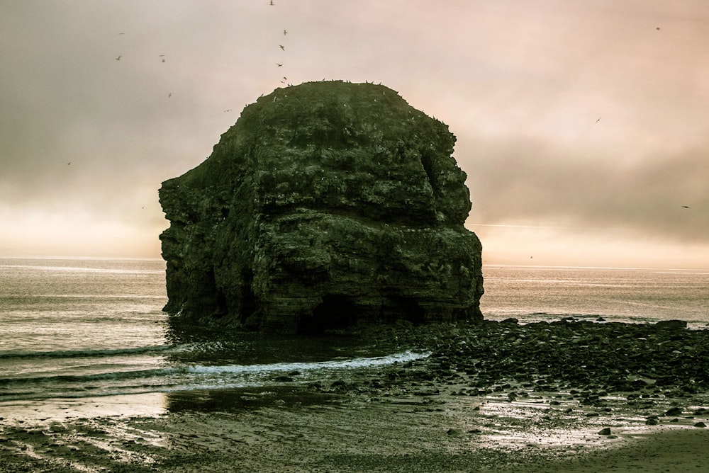 rock on shore during day