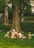 A person is sitting against a tree in a park, surrounded by several similar-looking brown dogs on leashes. The person is wearing a hat and shorts, and appears relaxed as they rest among the dogs. In the background, people are walking by, and the area is rich with green grass and large trees.