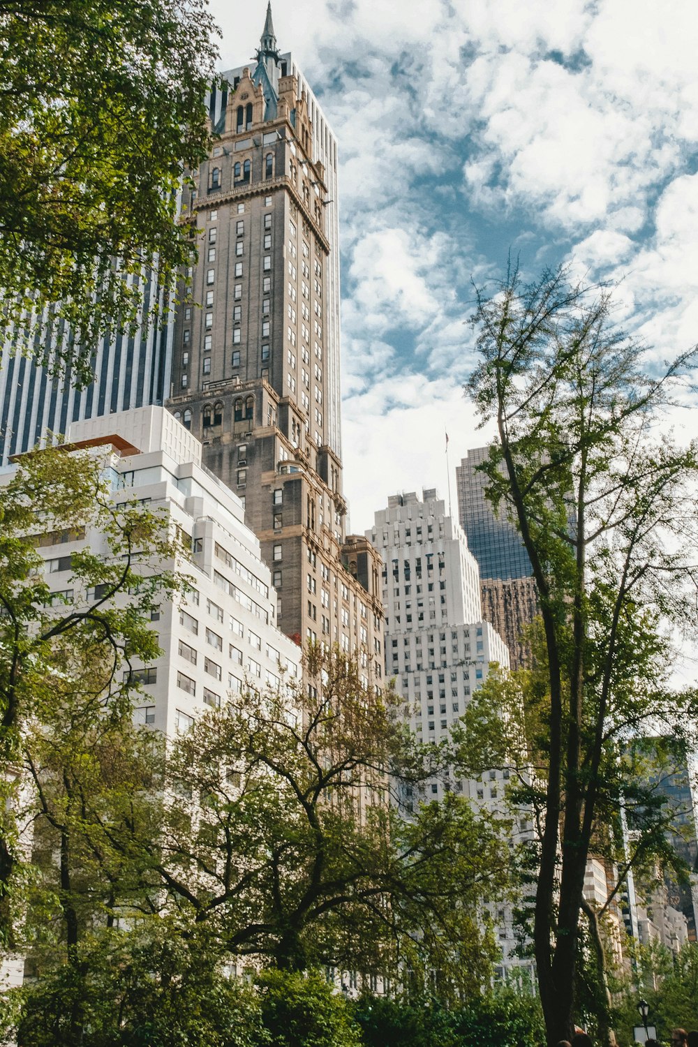 Fotografia Worm's Eye View de edifícios e árvores
