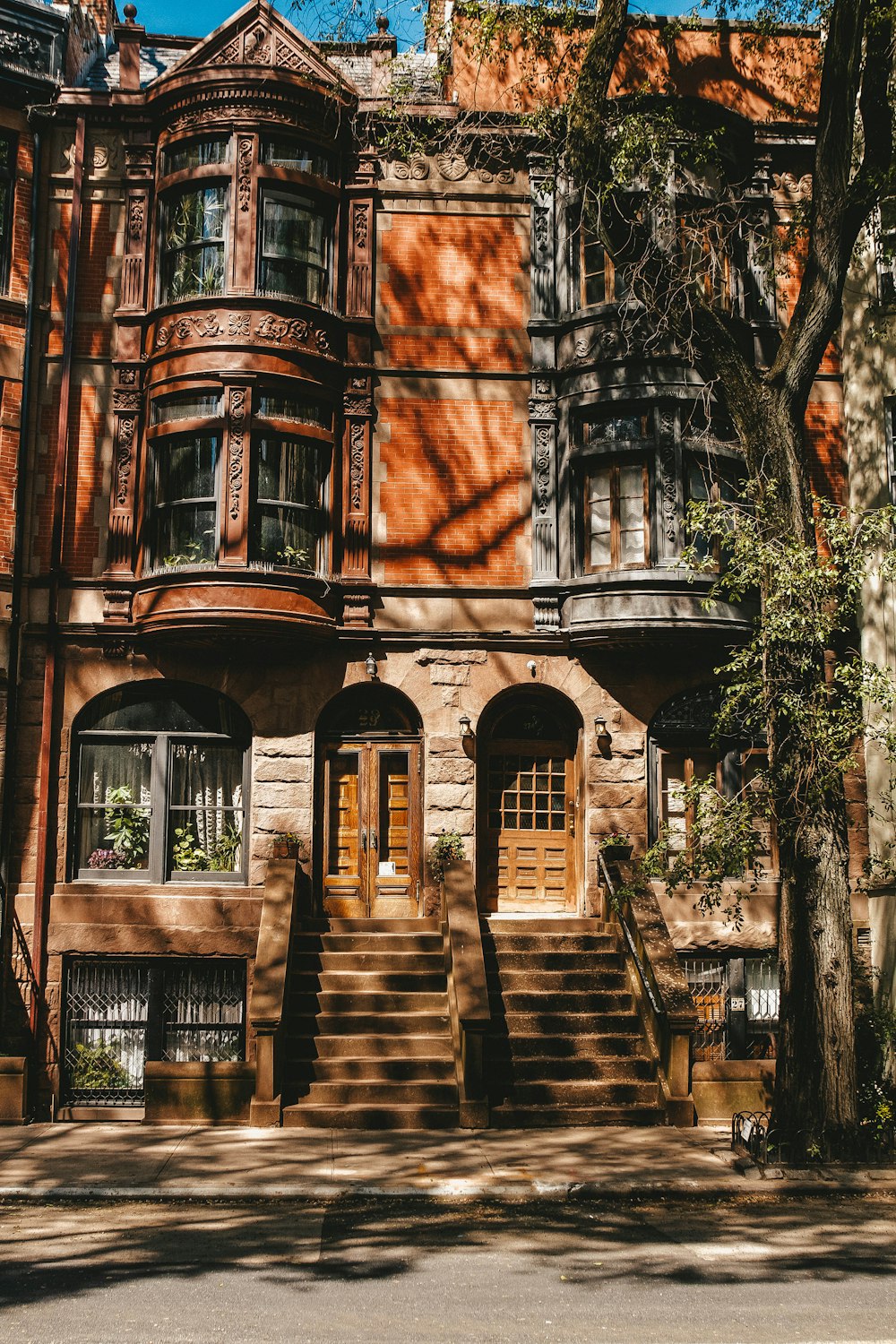 arbre vert devant la maison pendant la journée