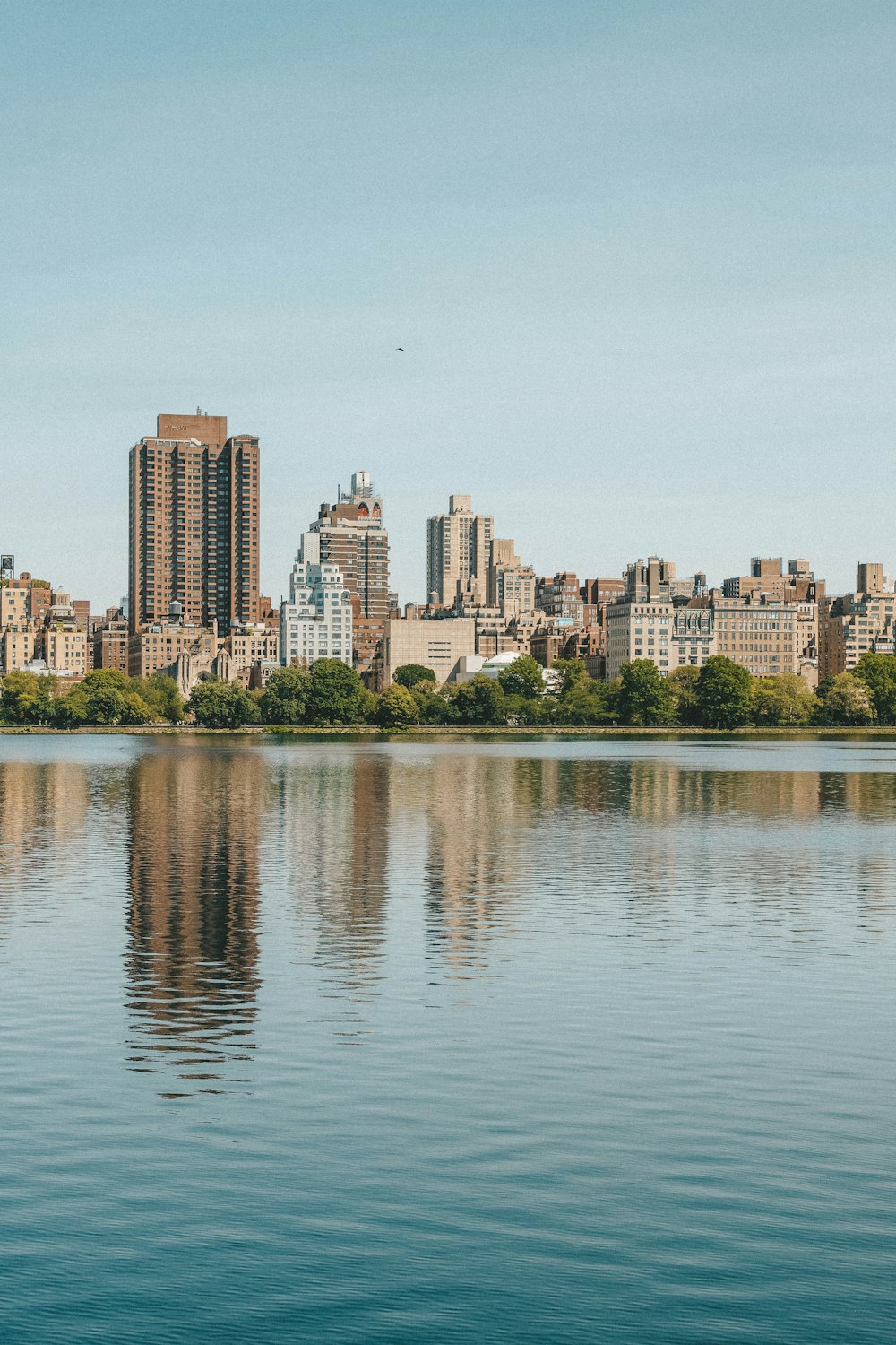 city with high-rise buildings viewing blue sea under blue and white skies