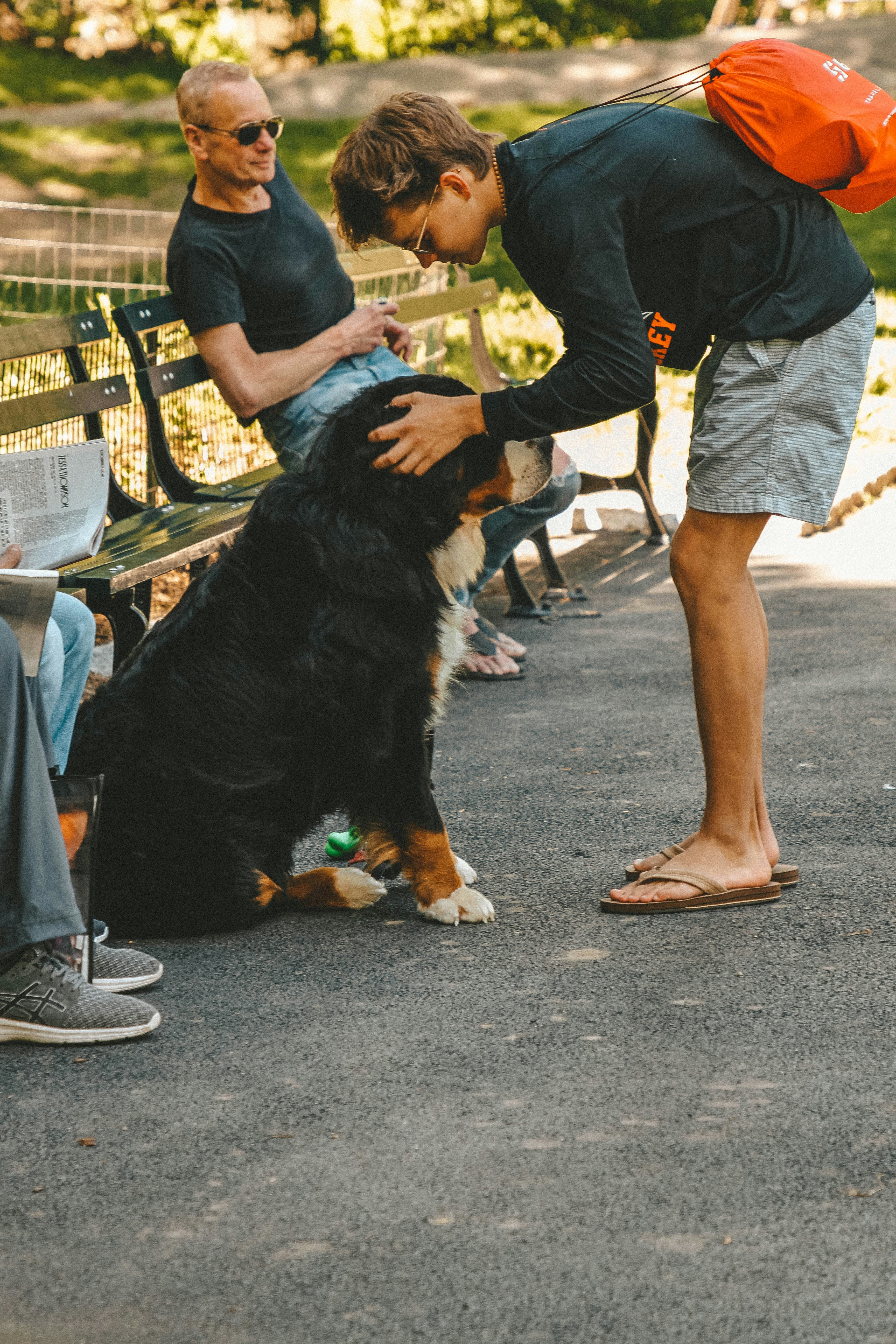 A service dog with a family at Disney park