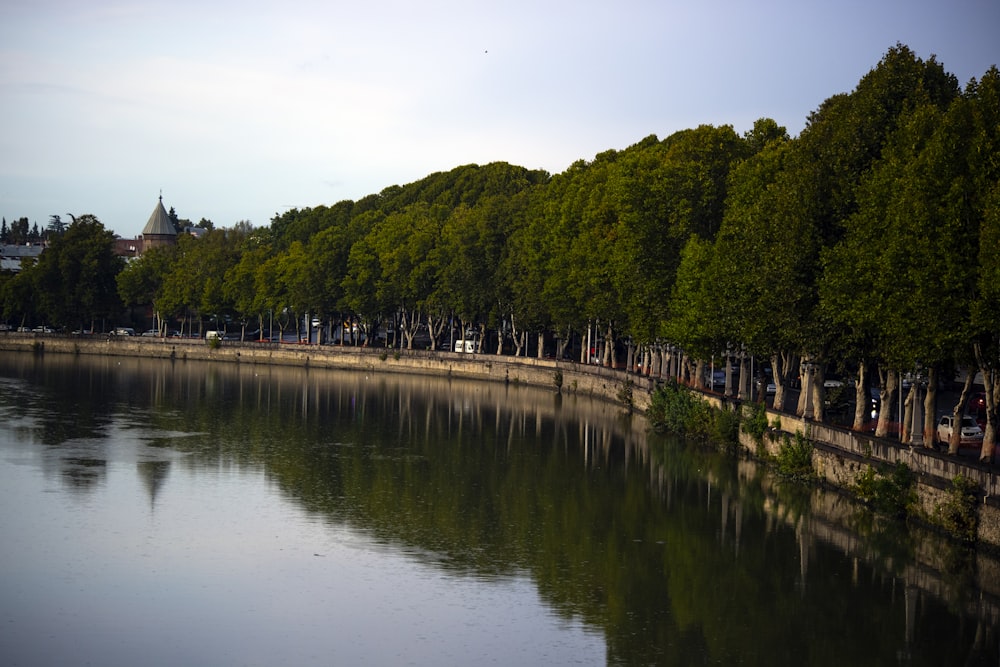 Photo de paysage d’arbres à feuilles vertes au bord du lac