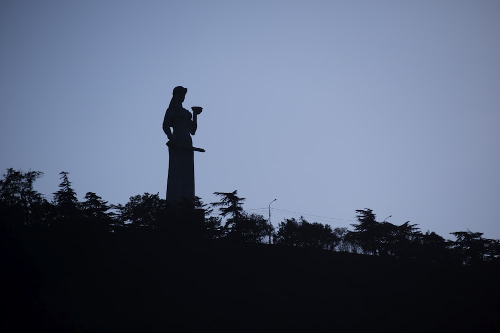 silhouette of statue