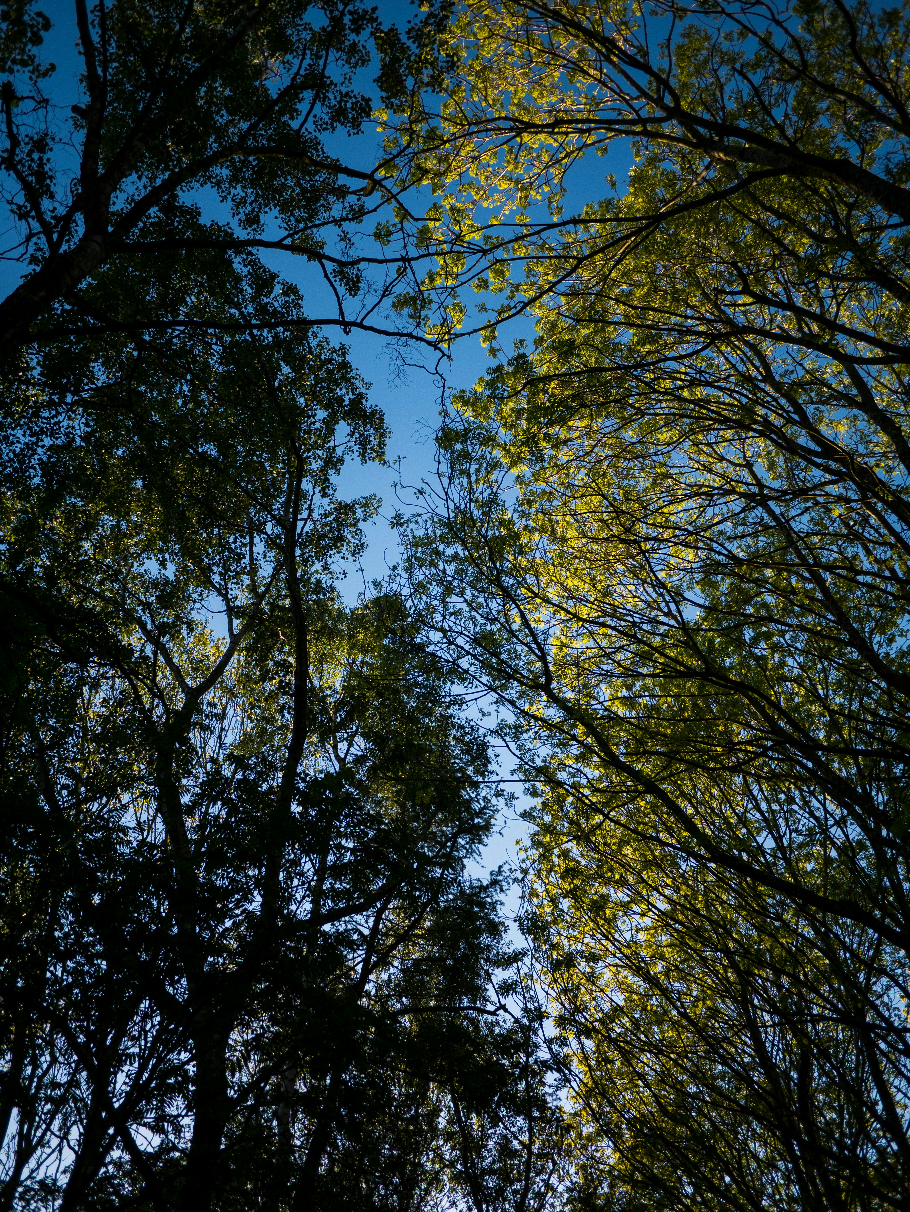 Photo by scotthewitt