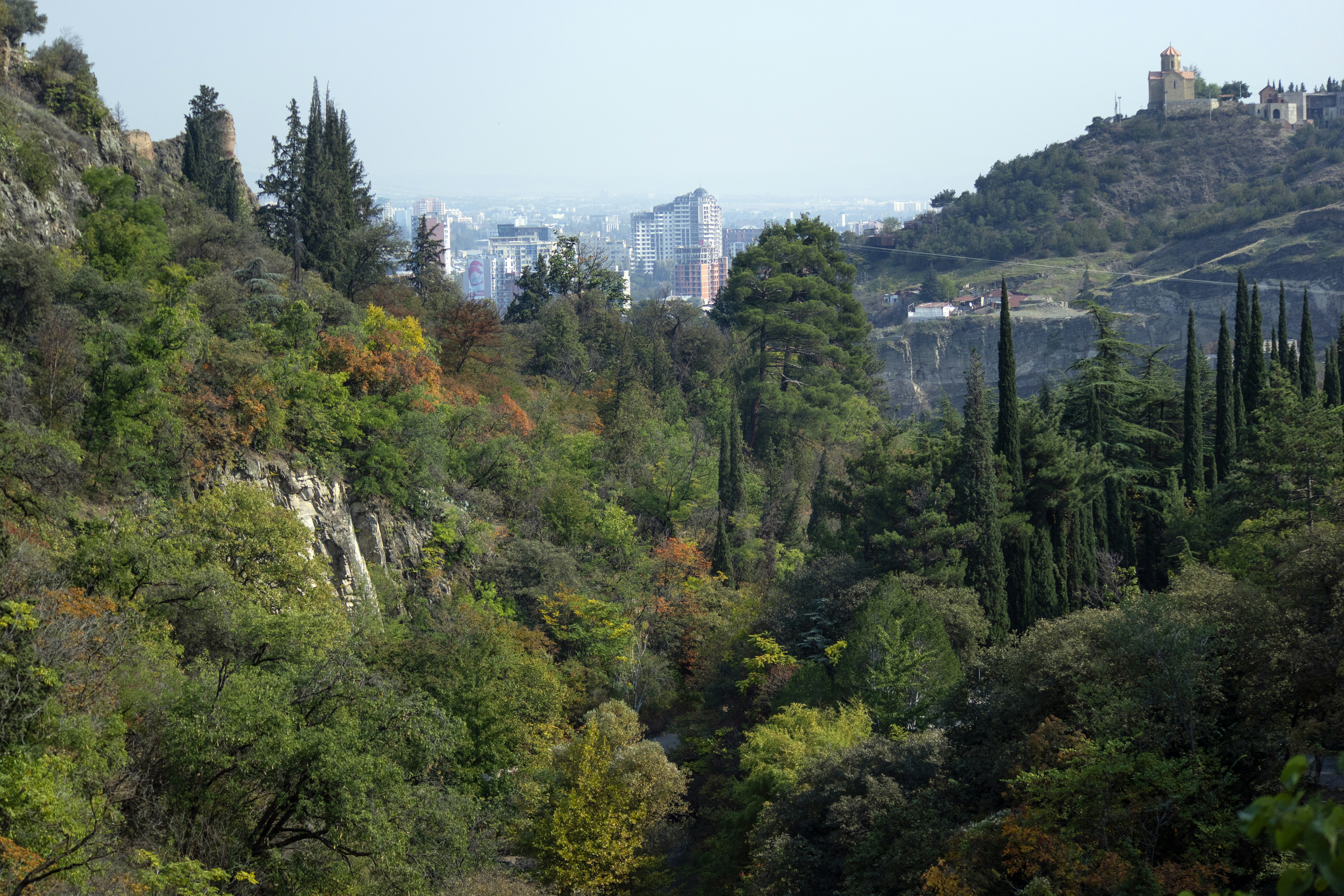 Photo by mostafa_meraji