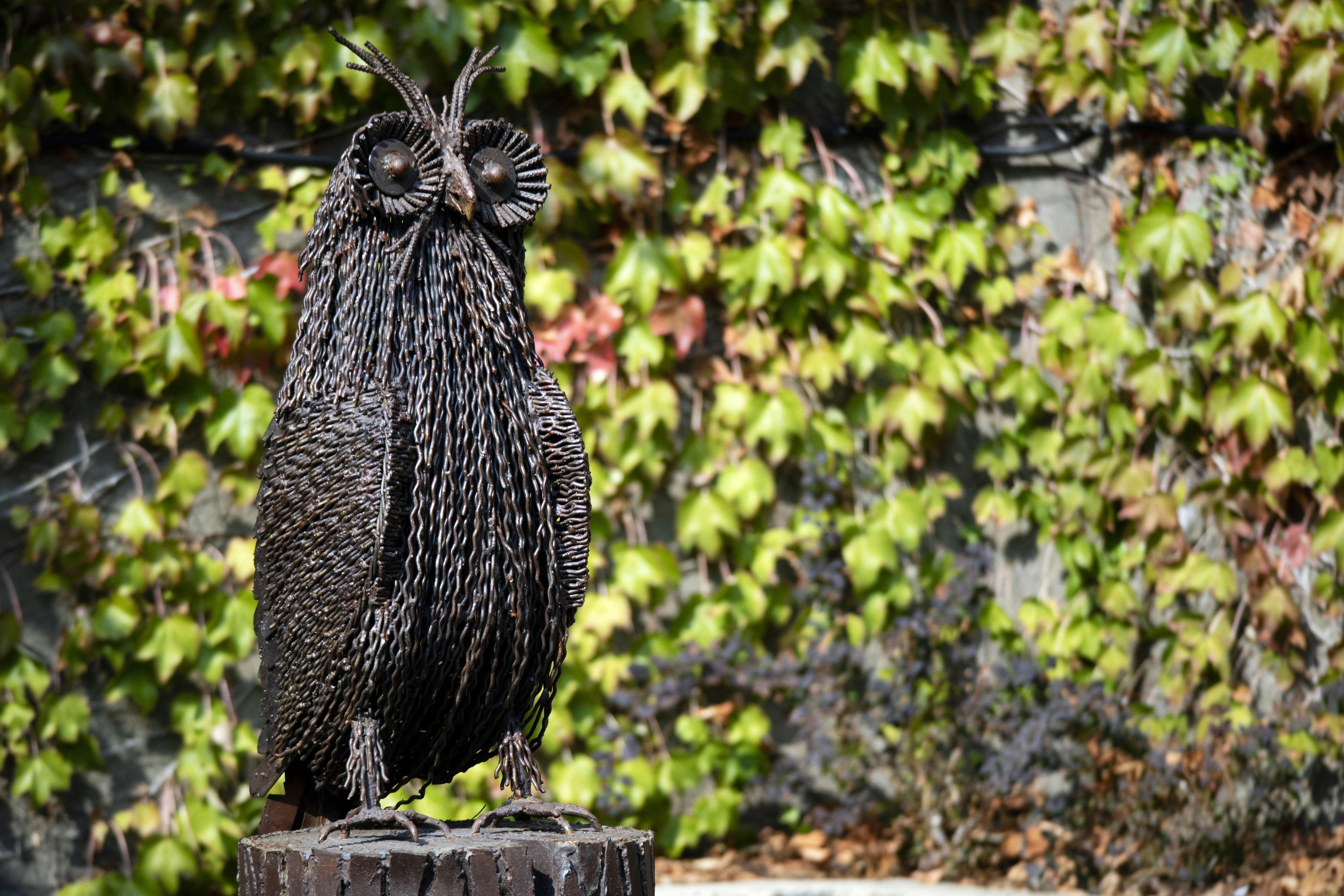 Rustic Owl LED Light