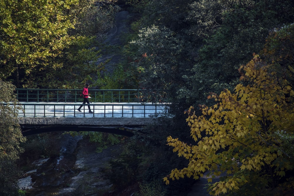 person walking on bridge