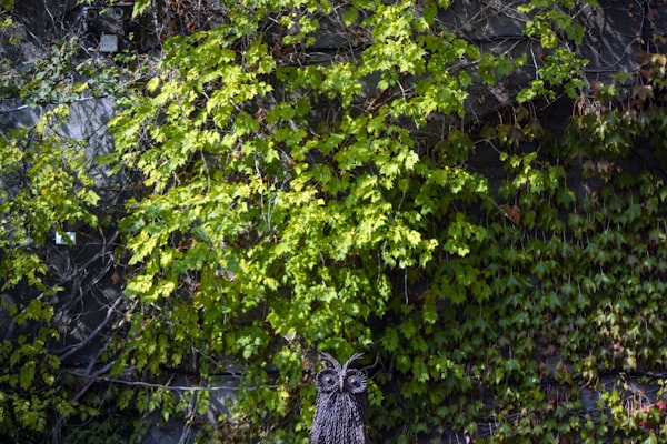 غسيل كنب وسجاد