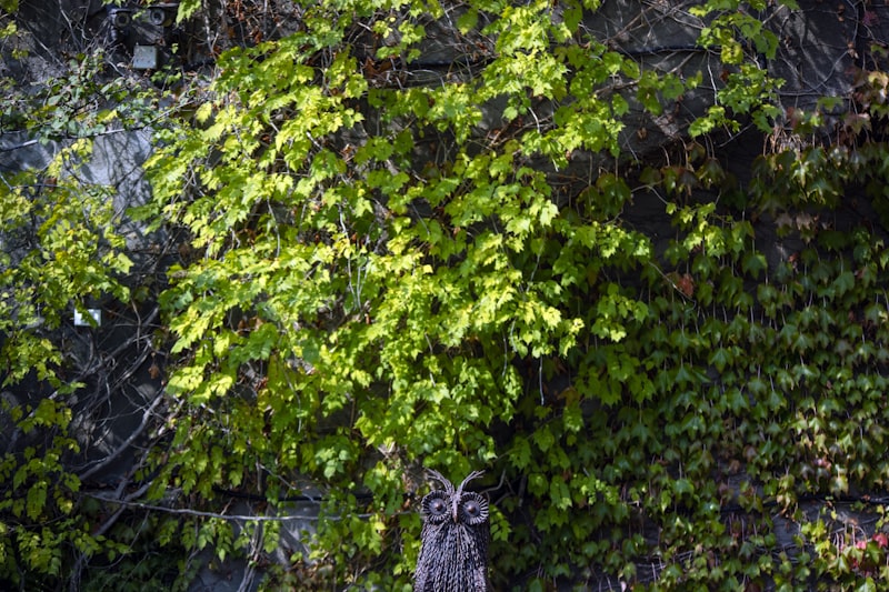 Mechanical Electrical