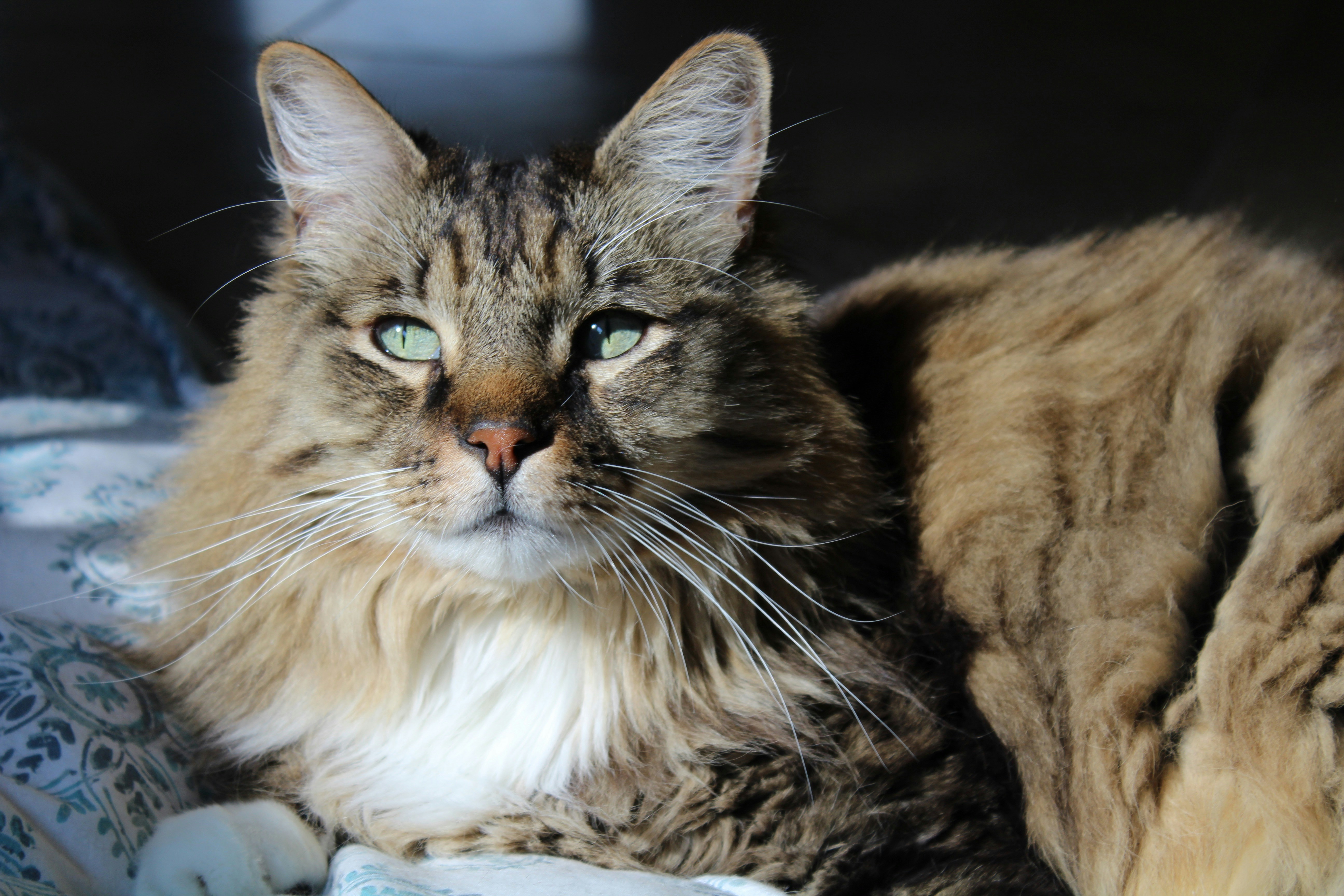 Photo by themorganlane