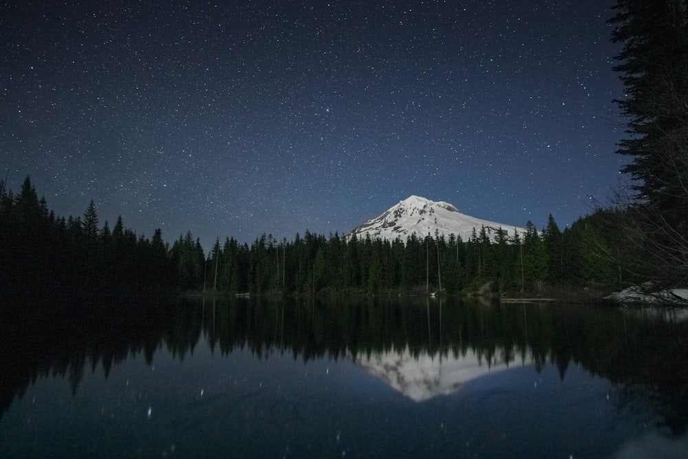 snow covered mountain, pine trees and body of water