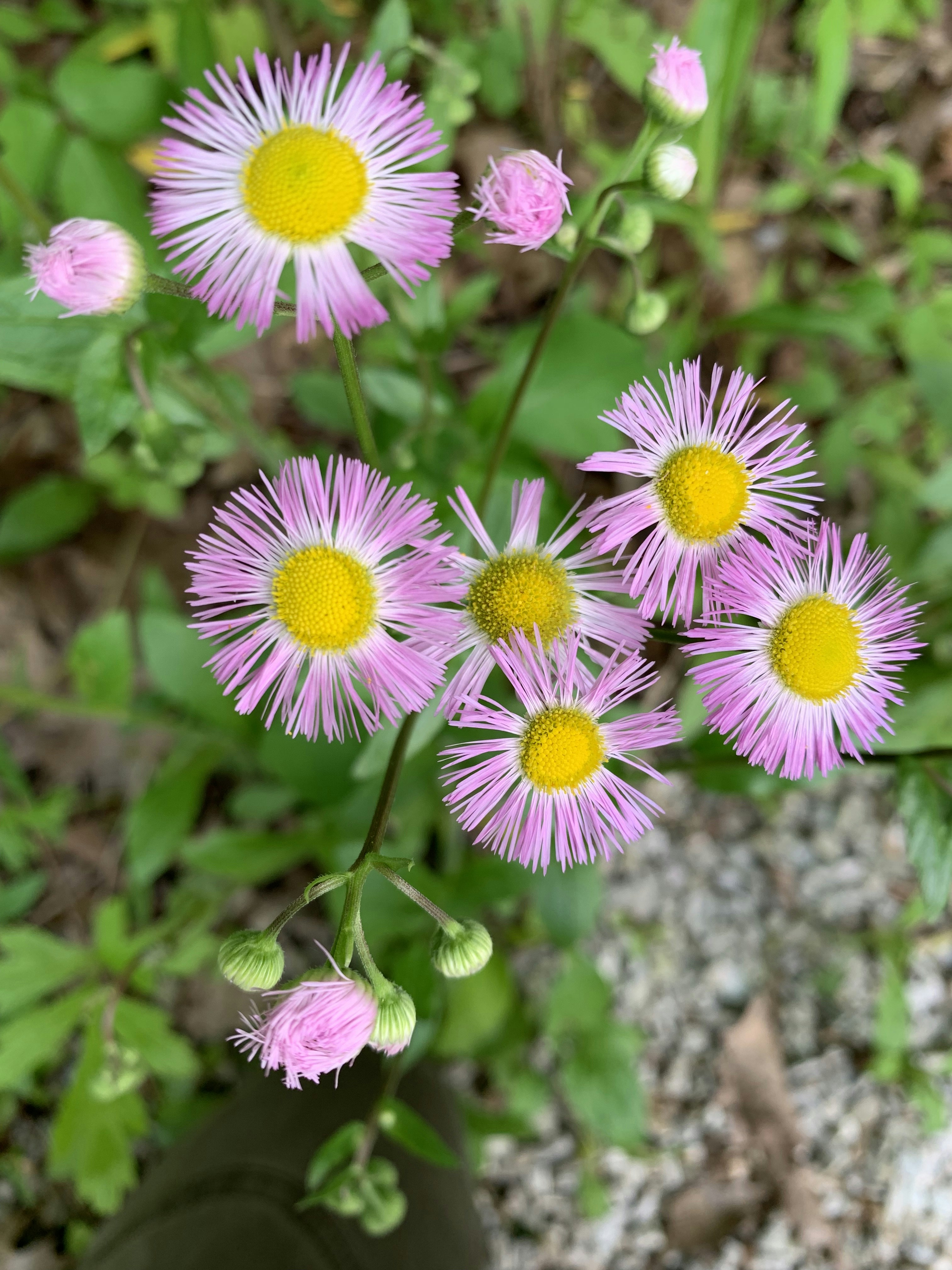 Photo by ulimwengumrembo