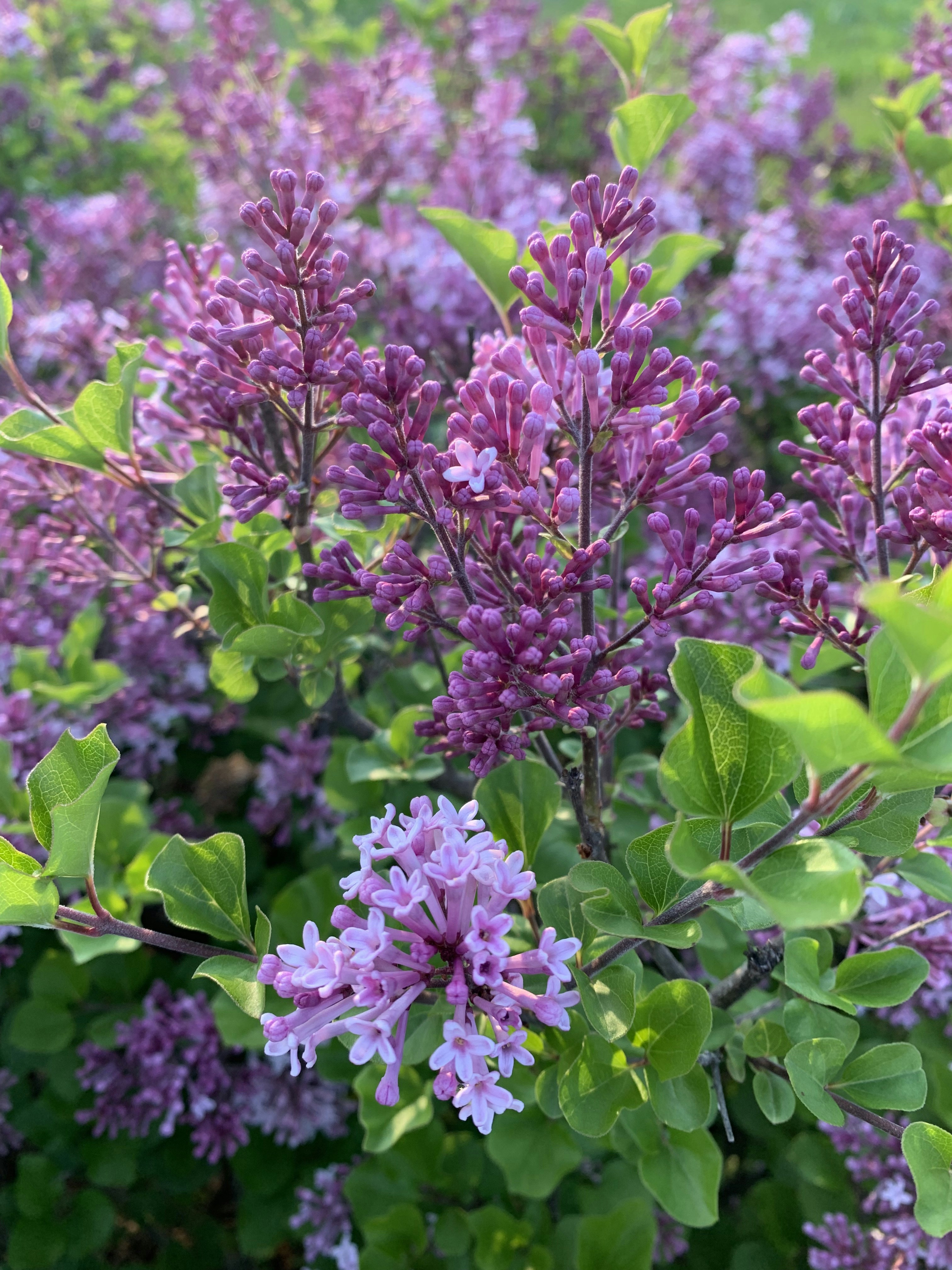 Photo by ulimwengumrembo