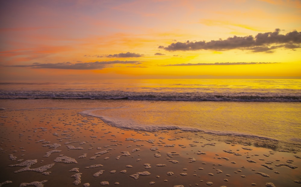 body of water during golden hour