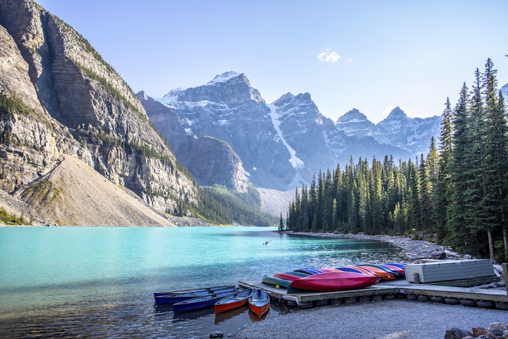 boats near lake in forest