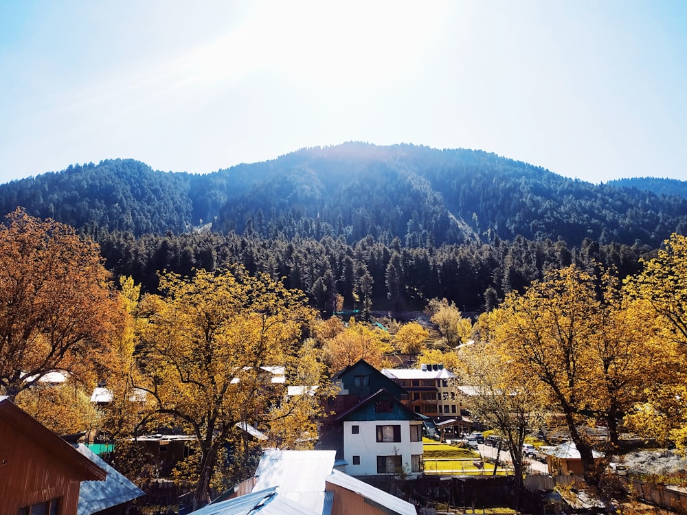 white houses and trees near mountain during daytime