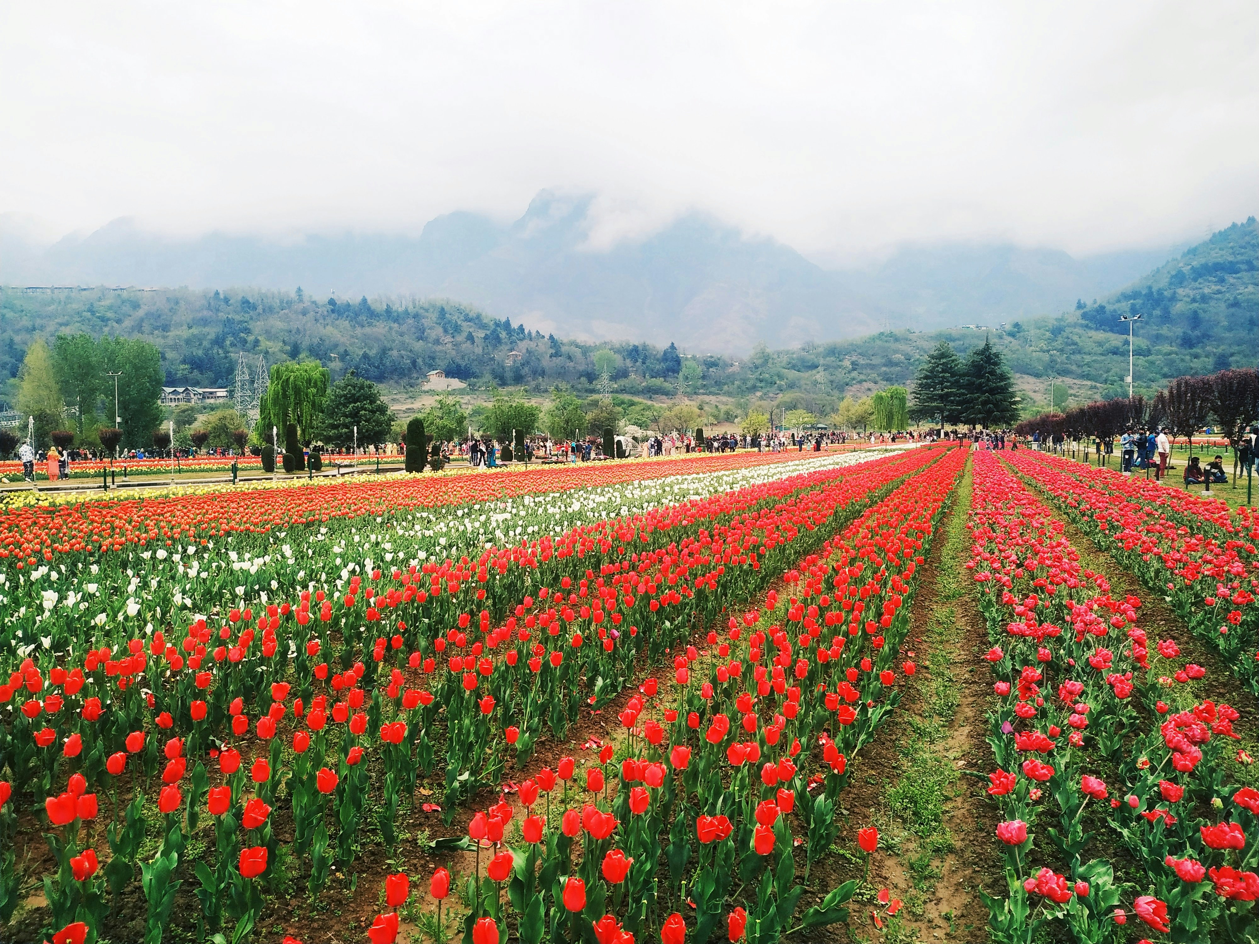 Noor-e-Kashmir