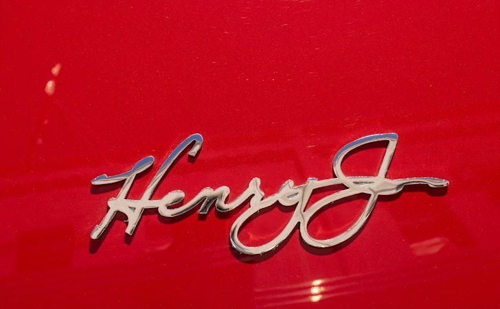 Exploring the Diverse Portfolio of Sue Henry: Products, Services, and Interests